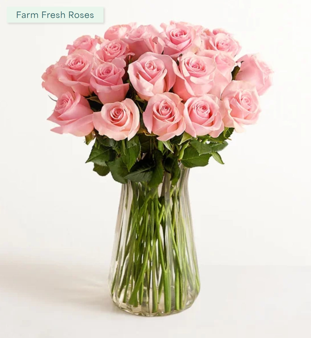 Petg Roses Pink Petal Roses – Unique Balloon Decorations